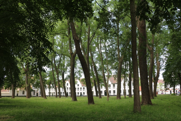 Bruges - Beguinage
