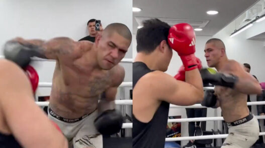 alex pereira brutalise corée du sud