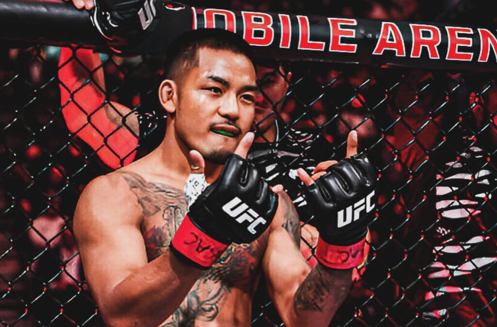 ufc 317 joshua van