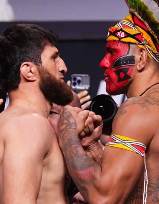 ufc 320 ankalaev pereira resultats
