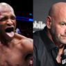 dana white ufc mma