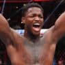 ufc seattle ko 24 secondes terrance mckinney