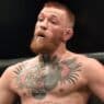 ufc 329 ufc 330 exceptionnels