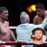 canelo arbitre sauve rico verhoeven