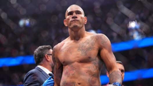 alex pereira shape finale heavyweight
