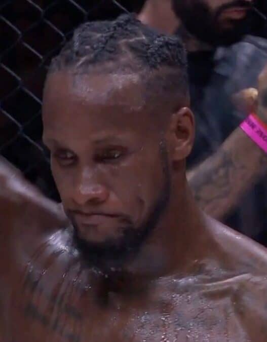 damien lapilus fait parler experience eren agbo hexagone mma 45