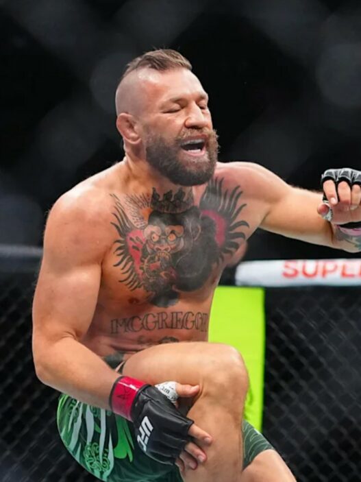 Conor McGregor se blesse face à Max Holloway lors de l'UFC 329.