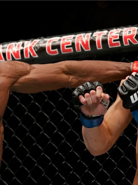 Kamaru Usman et Sean Strickland lors de l'UFC 210.