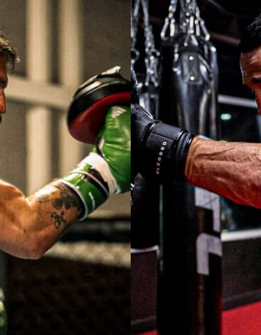 remplacant conor mcgregor max holloway ufc 329