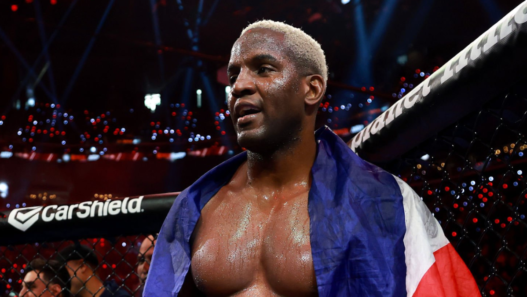 robelis despaigne retour ufc