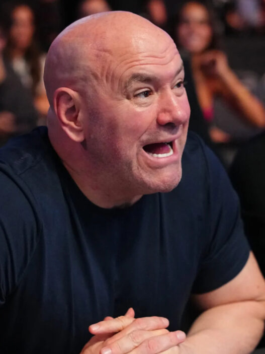 DWCS - 6 nouveaux contrats UFC