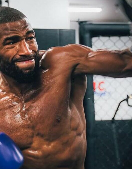 dan hooker surpris salahdine parnasse ufc paris