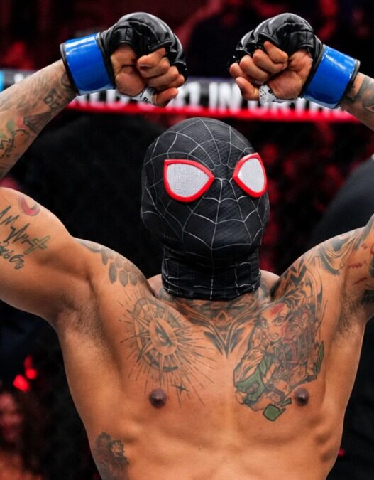 inquietudes remplacant ufc 330 michael morales