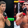 ufc paris 5 fares ziam axel sola
