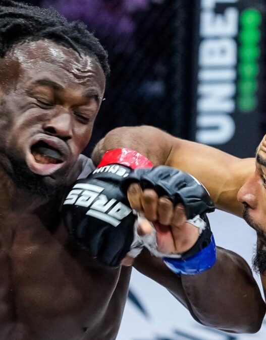 ARES 43 alexis barboza nicolas tko ilyasse drabo