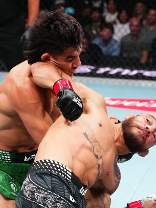 Bonus de l'UFC Noche - le rottweiler Jean Silva arrache tout
