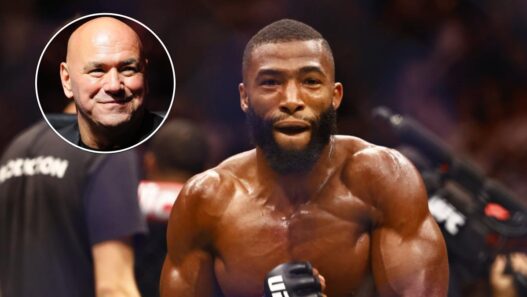 dana white valide salahdine parnasse
