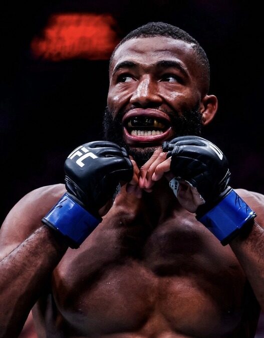 salahdine parnasse salaire ufc