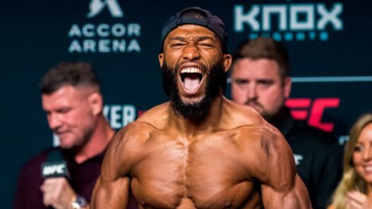 top 5 ufc salahdine parnasse