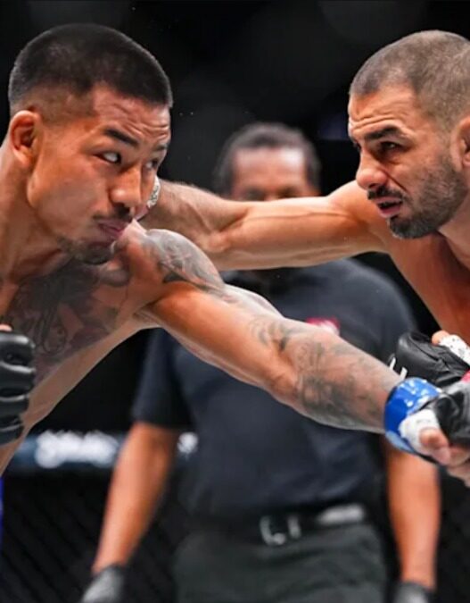 ufc 331 perd un combat