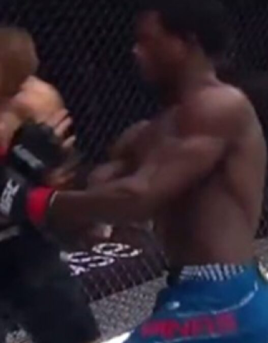 Damian-Pinas-UFC-332