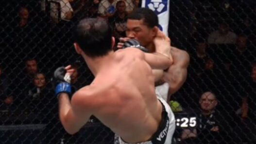Malcolm-Wellmaker-UFC