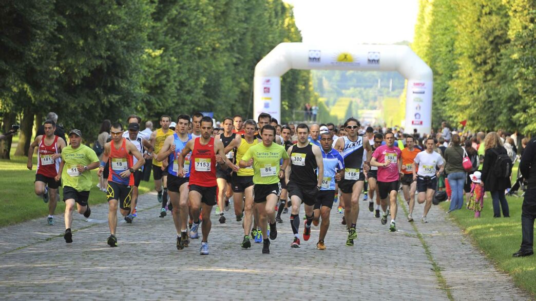 Course de Versailles - royalement conclue