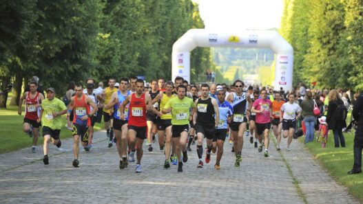 Course de Versailles - royalement conclue