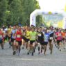 Course de Versailles - royalement conclue