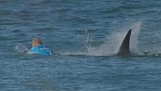 Le Jour où Mick Fanning s&rsquo;est fait attaquer par des requins à J-Bay