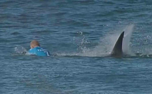Le Jour où Mick Fanning s&rsquo;est fait attaquer par des requins à J-Bay
