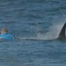 Le Jour où Mick Fanning s&rsquo;est fait attaquer par des requins à J-Bay
