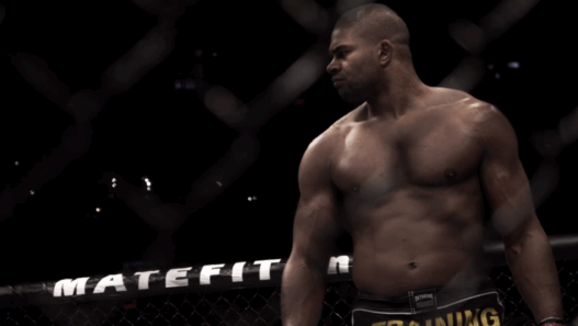 alistair-the-reem-overeem-ufc-203