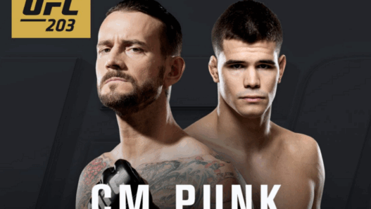 ufc-203-cm-punk-fait-ses-debuts-contre-mickey-gall