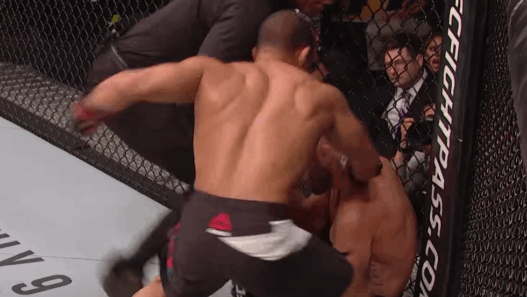 ufc-fight-night-96-john-dodson-vs-john-lineker