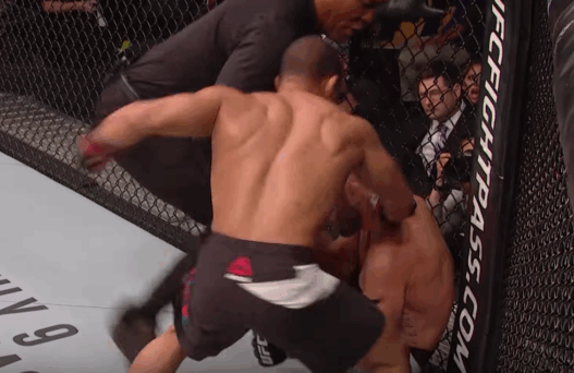 ufc-fight-night-96-john-dodson-vs-john-lineker