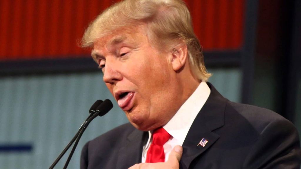 Donald-Trump-Stupide