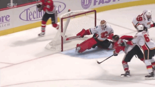 brian-elliott-NHL
