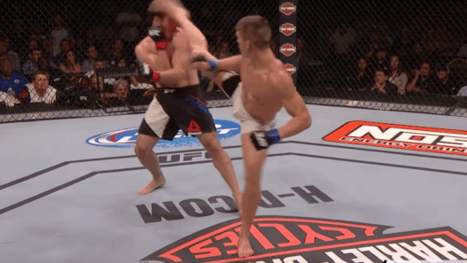 Stephen Thompson vs. Jake Ellenberger &ndash; la toile de ma&icirc;tre de Wonderboy