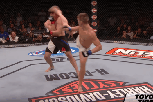 Stephen Thompson vs. Jake Ellenberger &ndash; la toile de ma&icirc;tre de Wonderboy