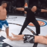 Bellator 163 &ndash; l&rsquo;&eacute;norme KO de Javy Ayala sur Sergei Kharitonov