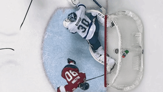 Ben-Bishop-save-Floride