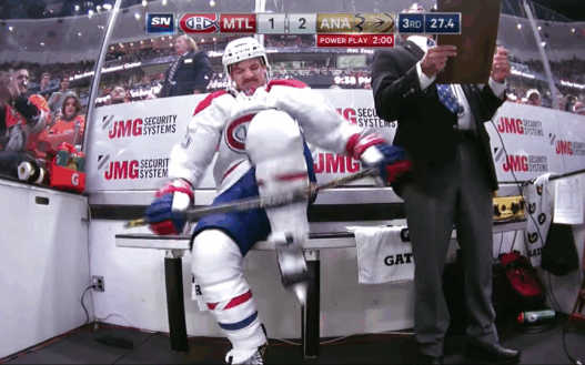 anaheim-vs-montreal-andrew-shaw