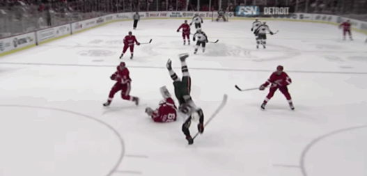 Dominik-Hasek-Gaborik