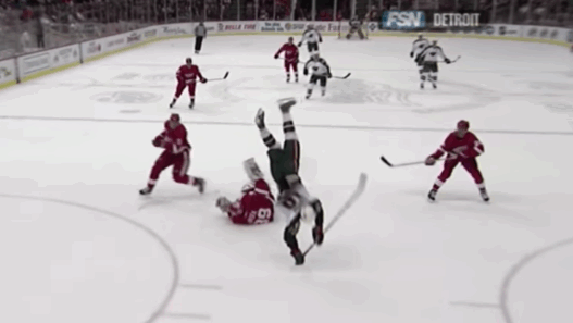 Dominik-Hasek-Gaborik