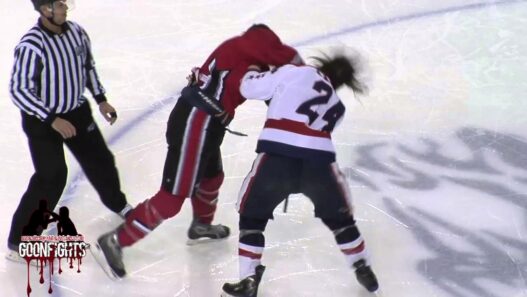 LNAH, la ligue la plus violente du monde