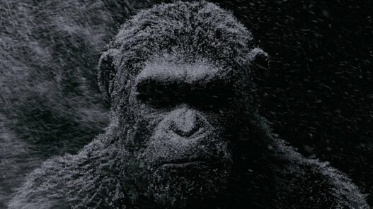La bande-annonce de La Plan&egrave;te des Singes &ndash; Supr&eacute;matie est l&agrave;&nbsp;!