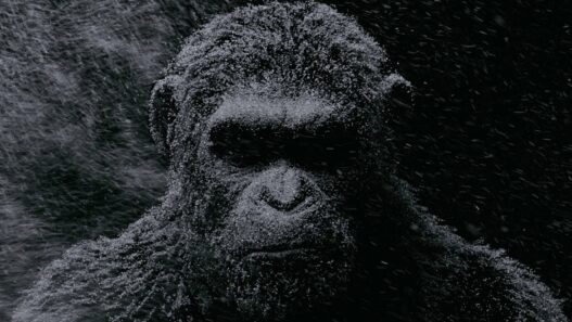 La bande-annonce de La Plan&egrave;te des Singes &ndash; Supr&eacute;matie est l&agrave;&nbsp;!