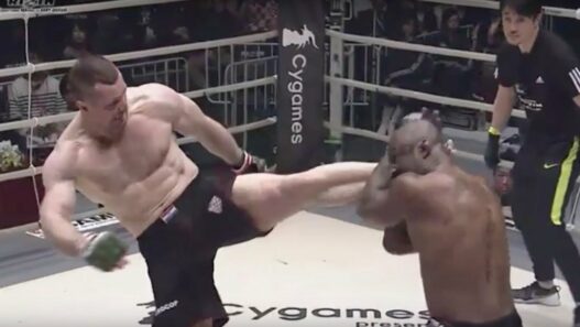 Rizin Grand Prix - Mirko Cro Cop King Mo