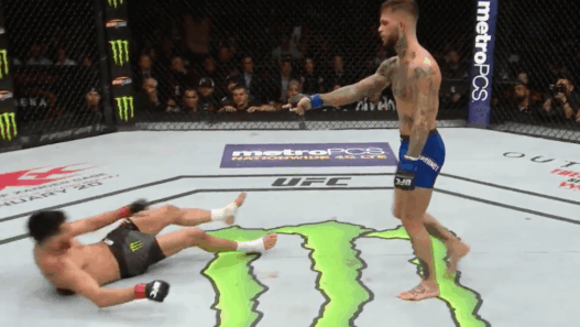 UFC 207 Dominick Cruz Cody Garbrandt